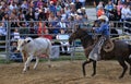 Cowboy at a western rodeo Royalty Free Stock Photo